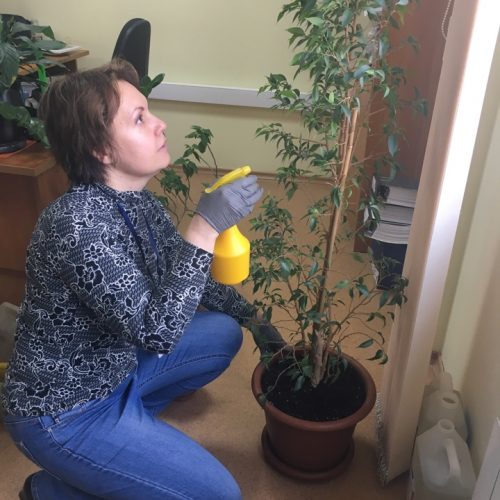 Ольга Александровна Климова - за озеленение